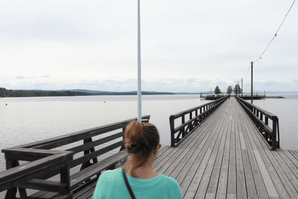 Long bridge