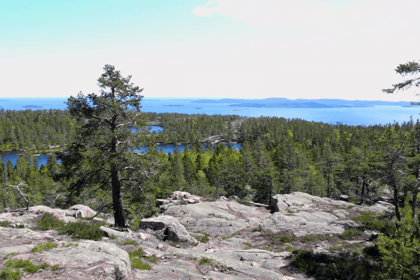 Skuleskogen