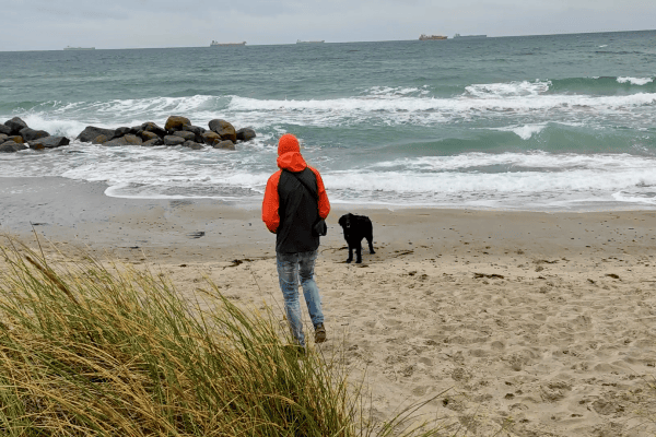 Stormy-Denmark-1