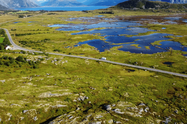 Marsh-on-the-Lofoten